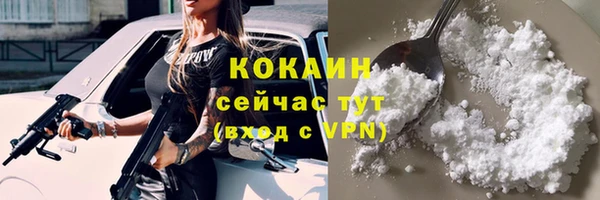 дурь Гусиноозёрск