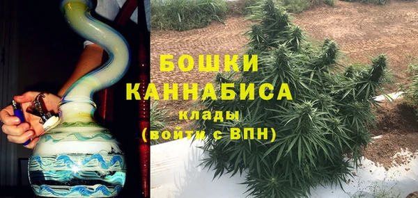 дурь Гусиноозёрск