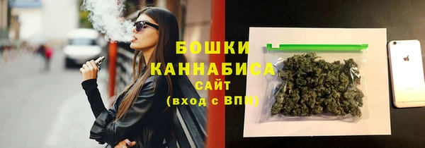 дурь Гусиноозёрск