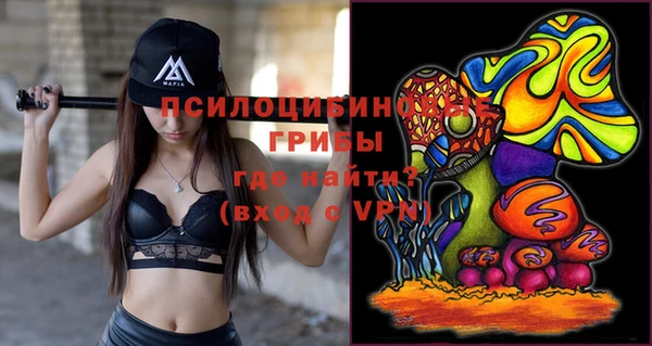 дживик Гусь-Хрустальный
