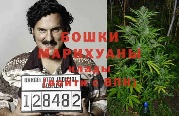 дживик Гусь-Хрустальный