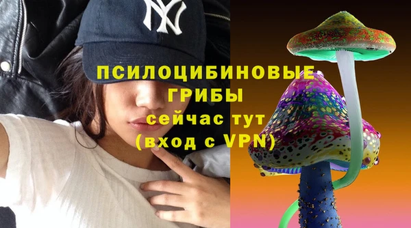 дживик Гусь-Хрустальный