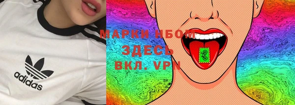 дурь Гусиноозёрск