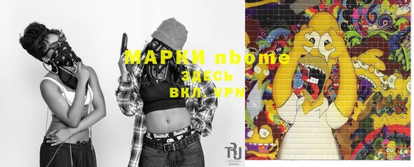 дурь Гусиноозёрск