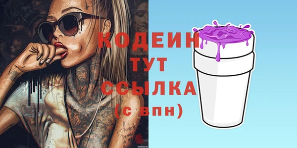 дурь Гусиноозёрск