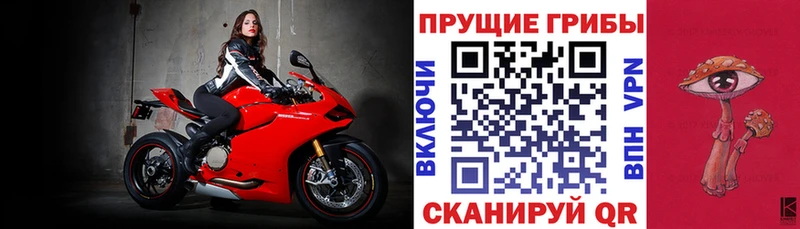 это официальный сайт  Мещовск  Псилоцибиновые грибы прущие грибы 